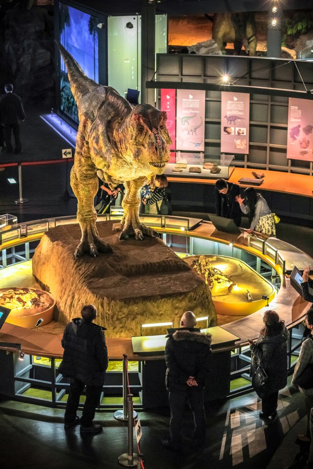Musueum Dinosaurus Fukui di Jepang Foto: Shutter Stock
