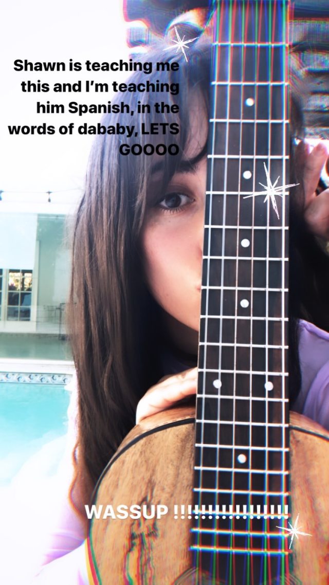 Camila Cabello pamer kemesraan dengan Shawn Mendes