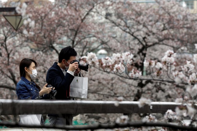 Pengunjung menggunakan masker mengabadikan foto di jembatan saat bunga sakura mekar di Tokyo, Jepang.  Foto: AP / Kiichiro Sato