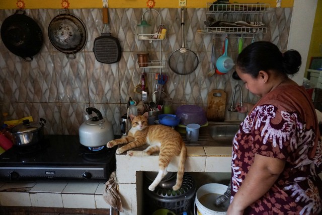 Esai Foto-Rumah Kucing Parung