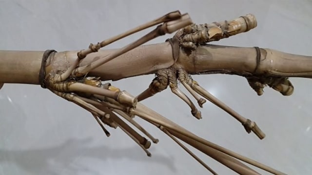Untitled Image