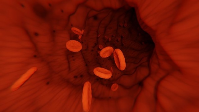 Untitled Image