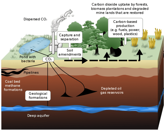 Ilustrasi: Carbon dioxide sequestration (Sumber: wikimedia.org)