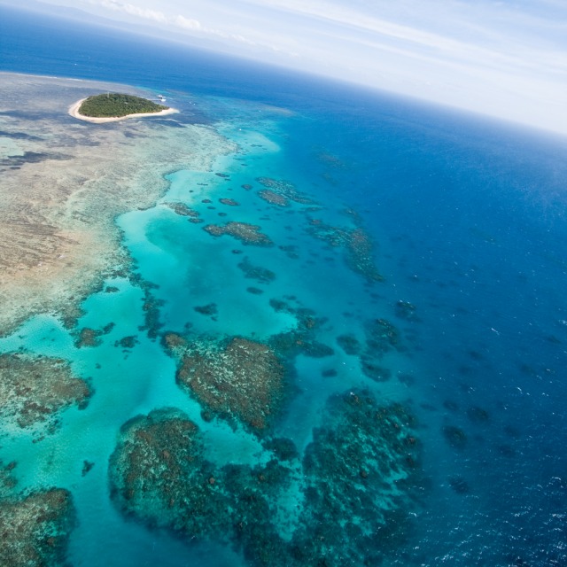 Keindahan Great Barrier Reef, terumbu karang terbesar di Australia Foto: Shutter Stock