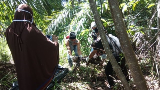 Penemuan kerangka manusia di Dusun Taman Sari, Mamuju, Sulawesi Barat. Foto: Dok. Istimewa