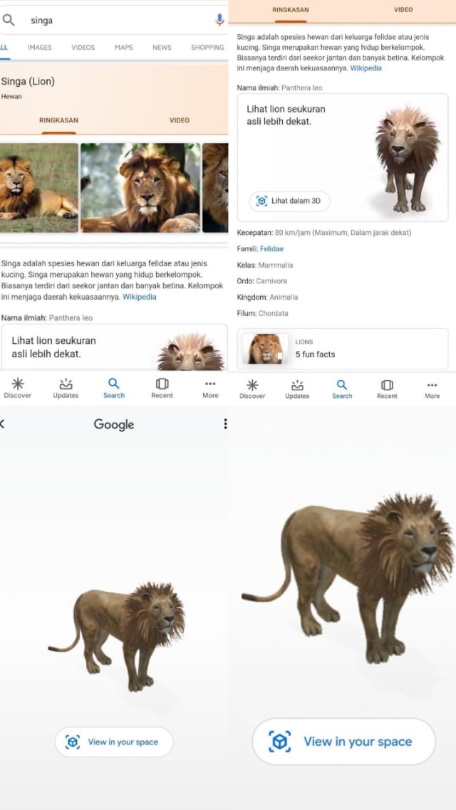 Cara Melihat Hewan 3d Via Google Search Hiburan Saat Social Distancing Kumparan Com
