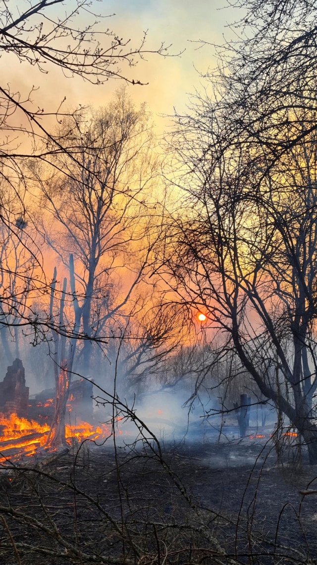 Kebakaran hutan di dekat desa Volodymyrivka di zona eksklusif di sekitar pembangkit listrik tenaga nuklir Chernobyl, Ukraina, Minggu, (5/4). Foto: AP PHOTO/Yaroslav Yemelianenko