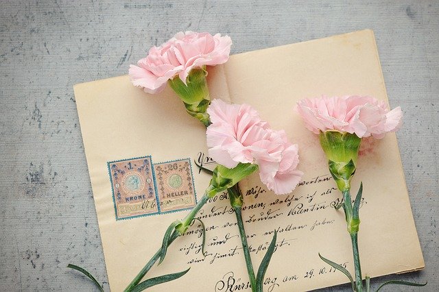 Paper Flower | Pixabay