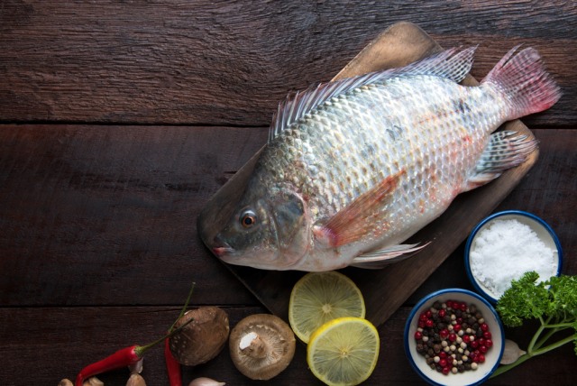 Ikan mengandung gizi tinggi. Foto: Shutterstock