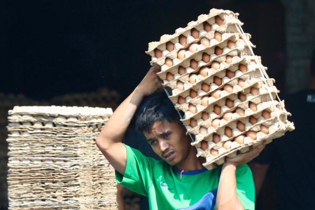 Ilustrasi pedagang mengangkat telur. Foto: Suparta/acehkini