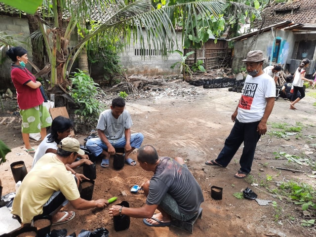 Warga desa Lumbung Kampung Mataraman, Bantul, sedang menyiapkan bibit sayuran untuk dibagi-bagikan kepada warga kampung sekitar. 