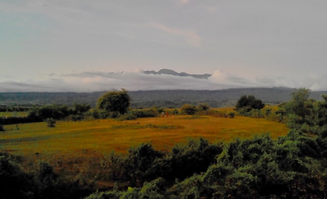 14 Fakta Menarik Saat Gelegar Gunung Tambora Mengguncang Dunia Tahun 1815 (156662)