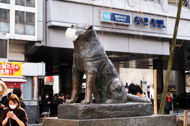 Ilustrasi Patung Hachiko Mengenakan Masker. 