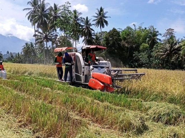 Kegiatan panen padi menggunakan mesin di Lampung Selatan, Sabtu (11/3) | Foto : Kementerian Pertanian RI