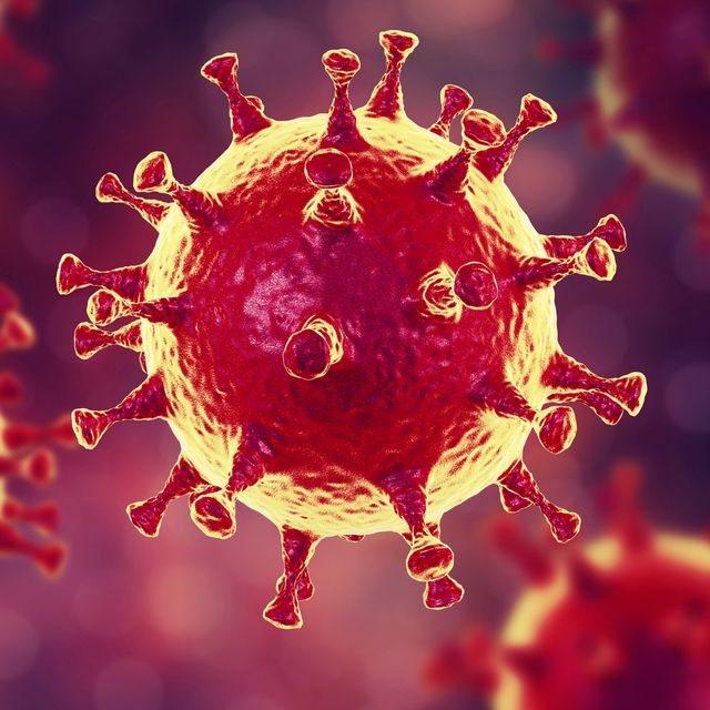 Virus corona punya duri-duri di permukaan tubuhnya. Sekilas, mirip buah rambutan. Foto: Shutterstock
