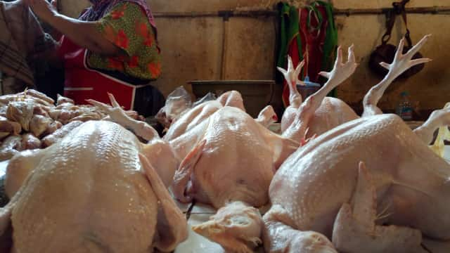 Daging ayam yang dijual di pasaran. Foto: dok. Tugu Jogja.