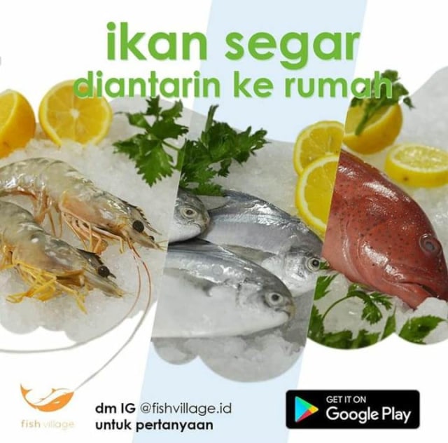 Fish Village menyiapkan ikan segar yang bisa dipesan secara online. Foto: Instagram @fishvillage.id