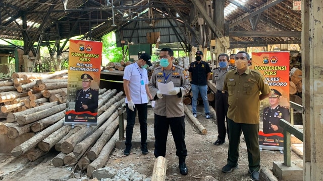 Polisi Bojonegoro Amankan 4 Orang Pelaku Ilegal Logging (218336)