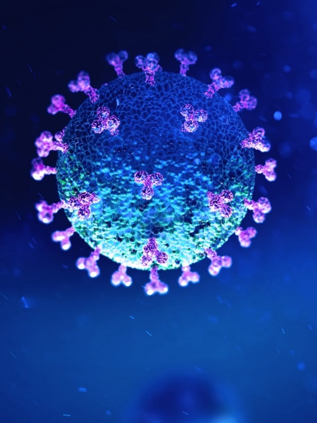 ilustrasi virus corona PTR Foto: Shutterstock