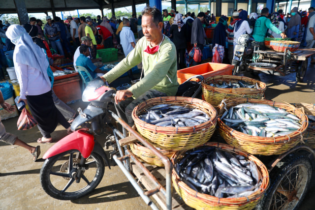 Penghasilan Nelayan Aceh Menurun Akibat Harga Ikan Anjlok Selama Pandemi Corona (78475)
