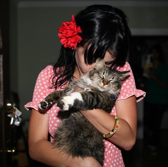 Katy Perry dan kucing peliharaannya, Kitty Purry. Dok: Instagram @katyperry