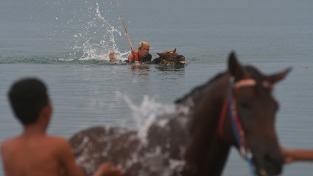 Pemilik melatih kuda pacunya di Pantai Talise, Palu, Sulawesi Tengah, Minggu (19/4). Foto: ANTARA FOTO/Mohamad Hamzah