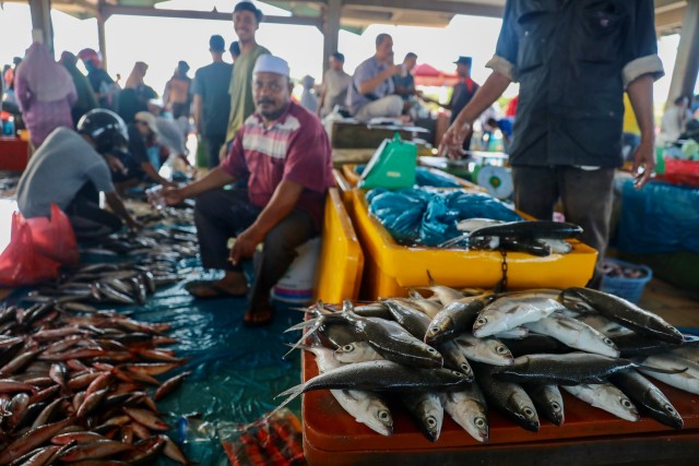 Foto: Dampak Corona, Harga Ikan Anjlok di Banda Aceh (74945)