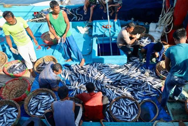 Foto: Dampak Corona, Harga Ikan Anjlok di Banda Aceh (74948)