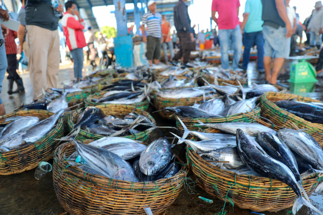 Foto: Dampak Corona, Harga Ikan Anjlok di Banda Aceh (74942)