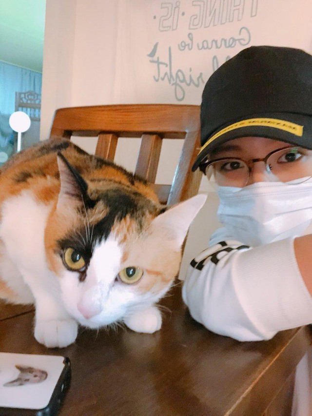 5 Fakta Jeno NCT  Dream  Si Nojam Pencinta Kucing 