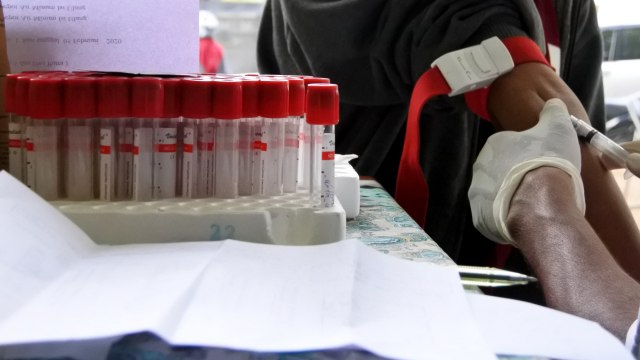 Petugas dinas kesehatan mengambil sampel darah dari pasien terduga demam berdarah dengue (DBD) untuk diperiksa di laboratorium di Kabupaten Sikka, NTT. Foto: ANTARA FOTO/Kornelis Kaha