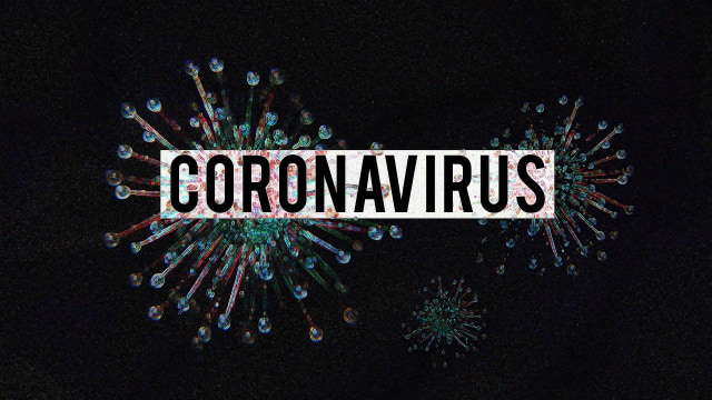 Ilustrasi Virus Corona. Foto: Olga Lionart/Pixabay.