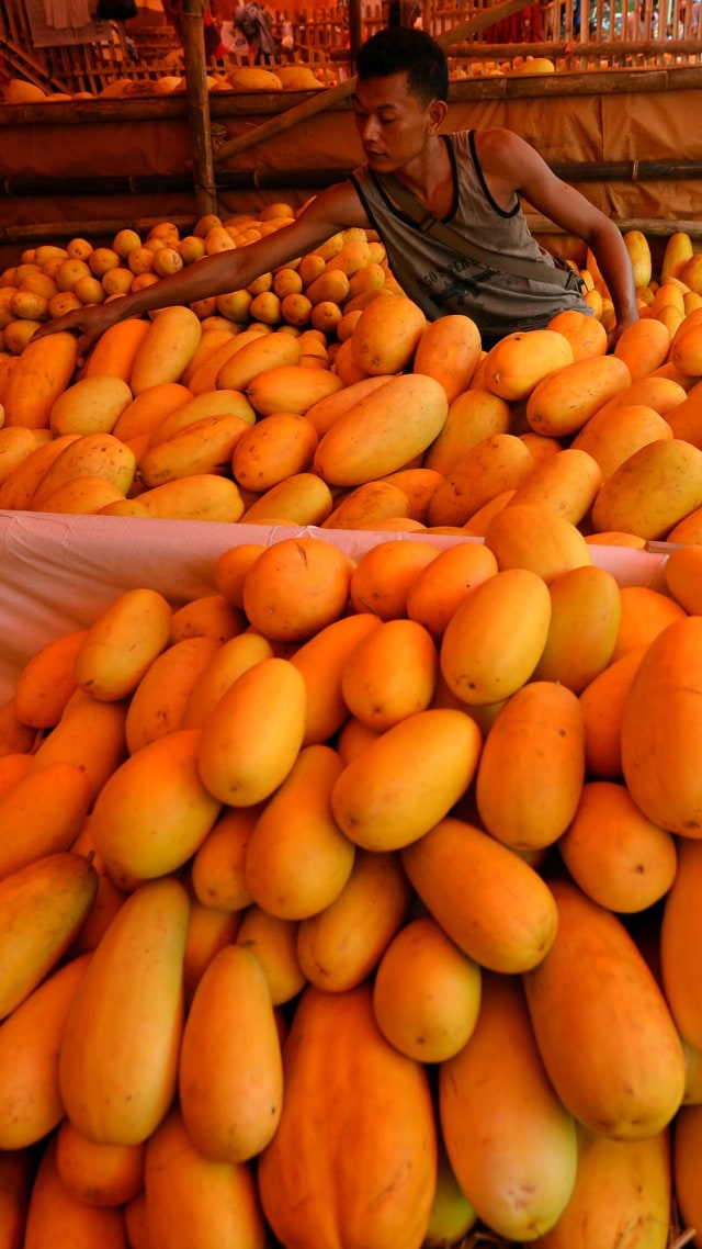 Pedagang menata buah timun suri di Pasar Induk Kramat Jati, Jakarta. Foto: ANTARA FOTO/Aditya Pradana Putra