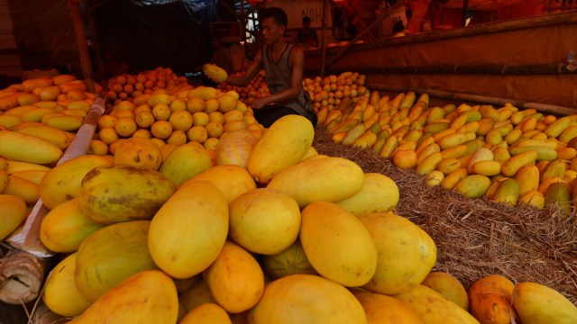 Ini Perbedaan Blewah dan Timun Suri, Buah Segar Favorit untuk Berbuka Puasa (258307)