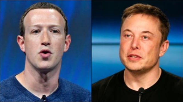 Foto kolase Mark Zuckerberg dan Elon Musk. Foto: Dok. kumparan