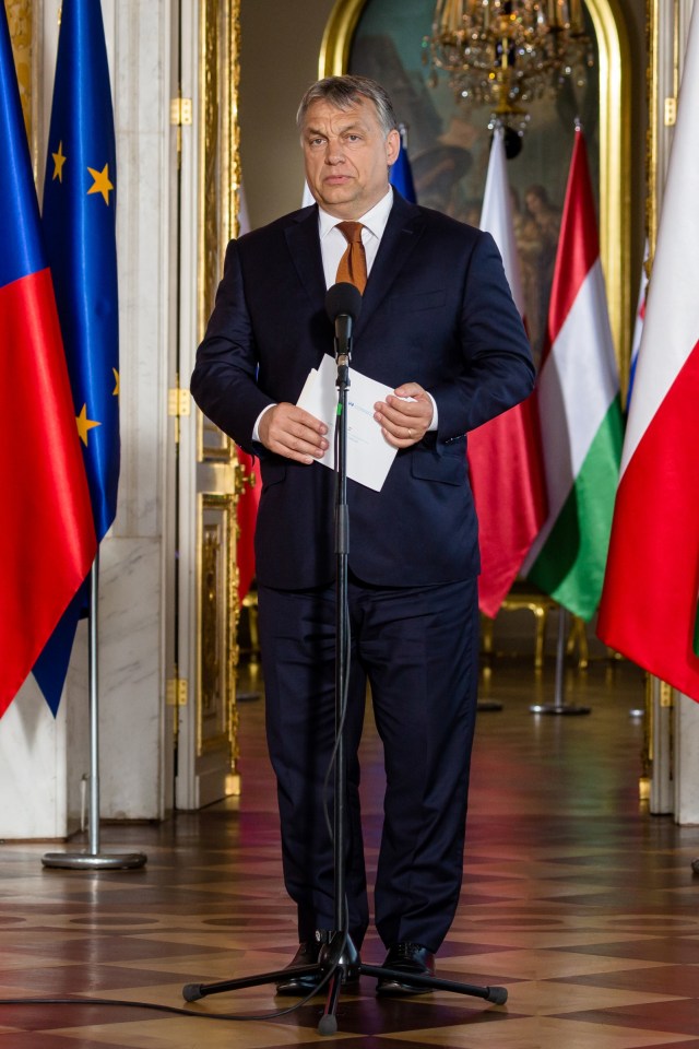 Presiden Hungaria Viktor Orban. Foto: Wojtek Radwanski/AFP