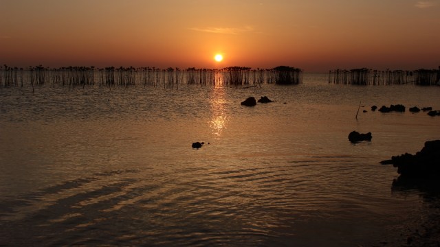 Ilustrasi sunset di pantai. Foto: Faisal Rahman/kumparan