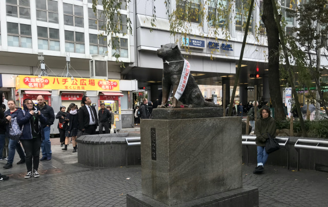Patung anjing Hachiko di Shibuya, Tokyo, yang menjadi simbol kesetiaan anjing kepada pemiliknya. Foto : ESP