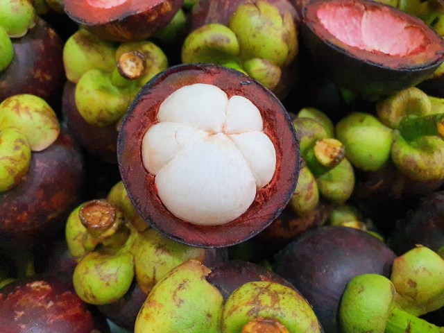 Ilustrasi : buah manggis Bali - IST