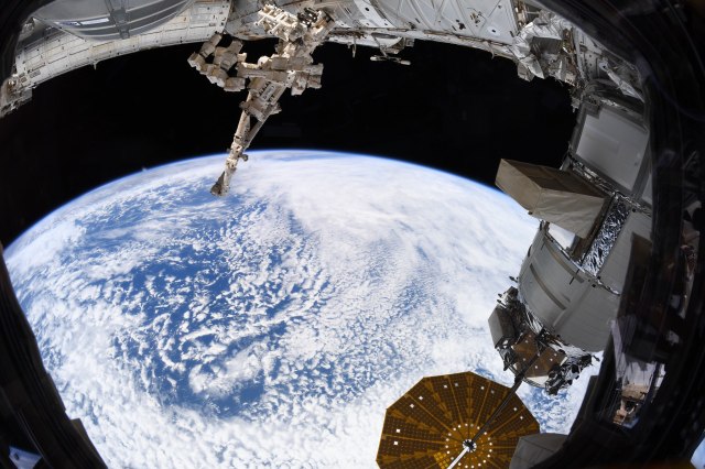 Foto citra bumi yang diambil dari Stasiun Luar Angkasa Internasional (ISS). Foto: Twitter/@Astro_Jessica