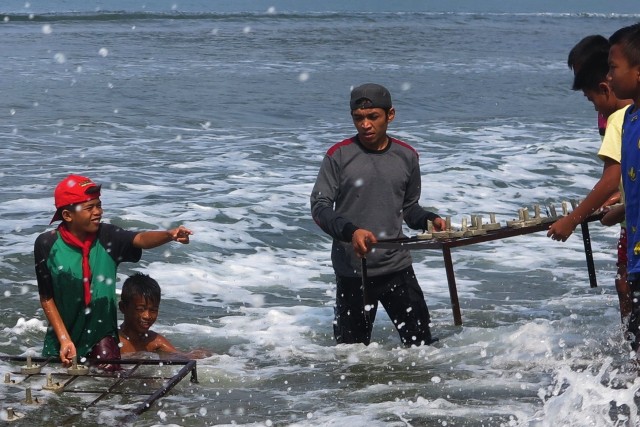 Budidaya terumbu karang yang dilakukan David Andespin bersama anak-anak desa di kampung halamannya. Dok. Pribadi