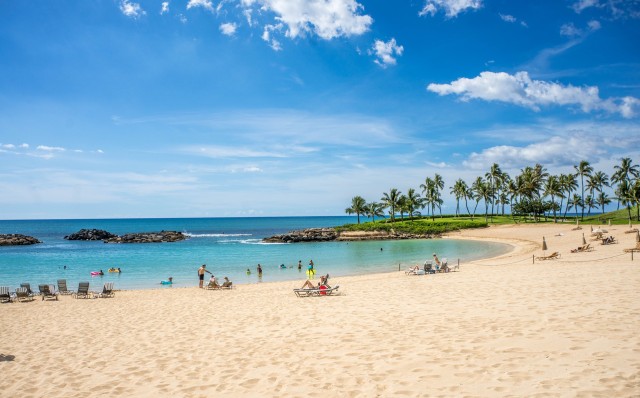 Ilustrasi Pantai Waikiki di Hawaii Foto: Pixabay
