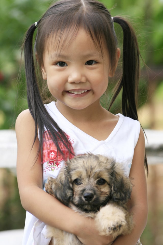 Anak memelihara hewan Foto: Shutterstock
