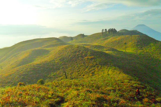 Puncak seribu bukit denga padang rumputnya, Gunung Prau, Dieng, salah satu yang terbaik di Jawa. Foto: Harley Sastha