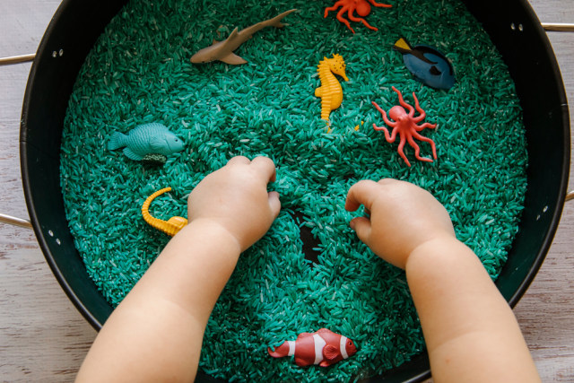 Manfaat Main Sensory Bin untuk Bayi dan Balita (50874)