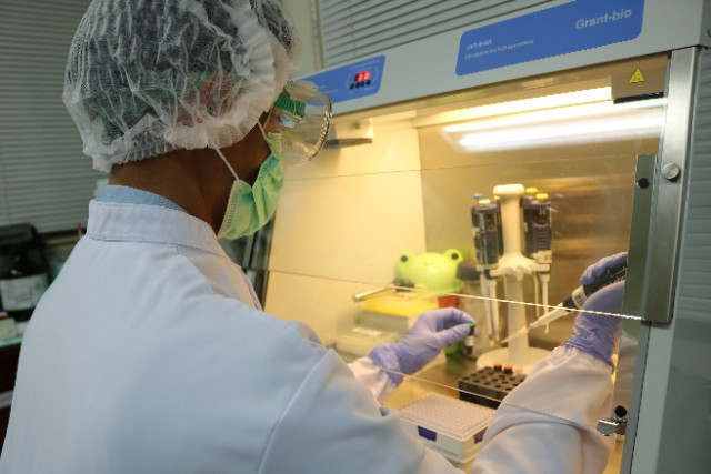 Untuk memastikan keselamatan dan kualitas pemeriksaan PCR, penggunaan Biosafety Cabinet dalam setiap langkah kerja sangatlah penting. Foto: Dok. PTFI