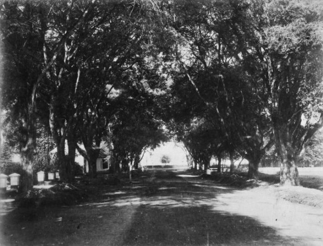 Weltevreden, Tempat Wisata Pertama Masyarakat Kolonial Belanda di Jakarta (72622)