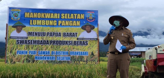 com-Gubernur Papua Barat Dominggus Mandacan saat melakukan Pencanangan Ketahanan Pangan Kampung dengan Penanaman Pangan Lokal di Kampung Muari, Distrik Oransbari, Kabupaten Manokwari Selatan, Senin 11 Mei 2020. Foto: Balitbangda Provinsi Papua Barat