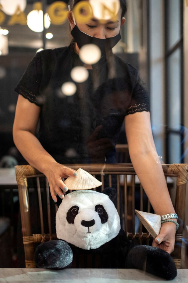 Pekerja menata boneka panda di restoran Maison Saigon, Bangkok, Thailand, Rabu (13/5). Foto: REUTERS / Athit Perawongmetha