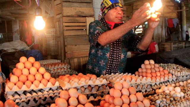 Seorang pedagang telur memeriksa kondisi telur ayam yang dijualnya di pasar Kasih Naikoten, Kota Kupang, NTT, Kamis (14/5/2020). Foto: ANTARA FOTO/Kornelis Kaha